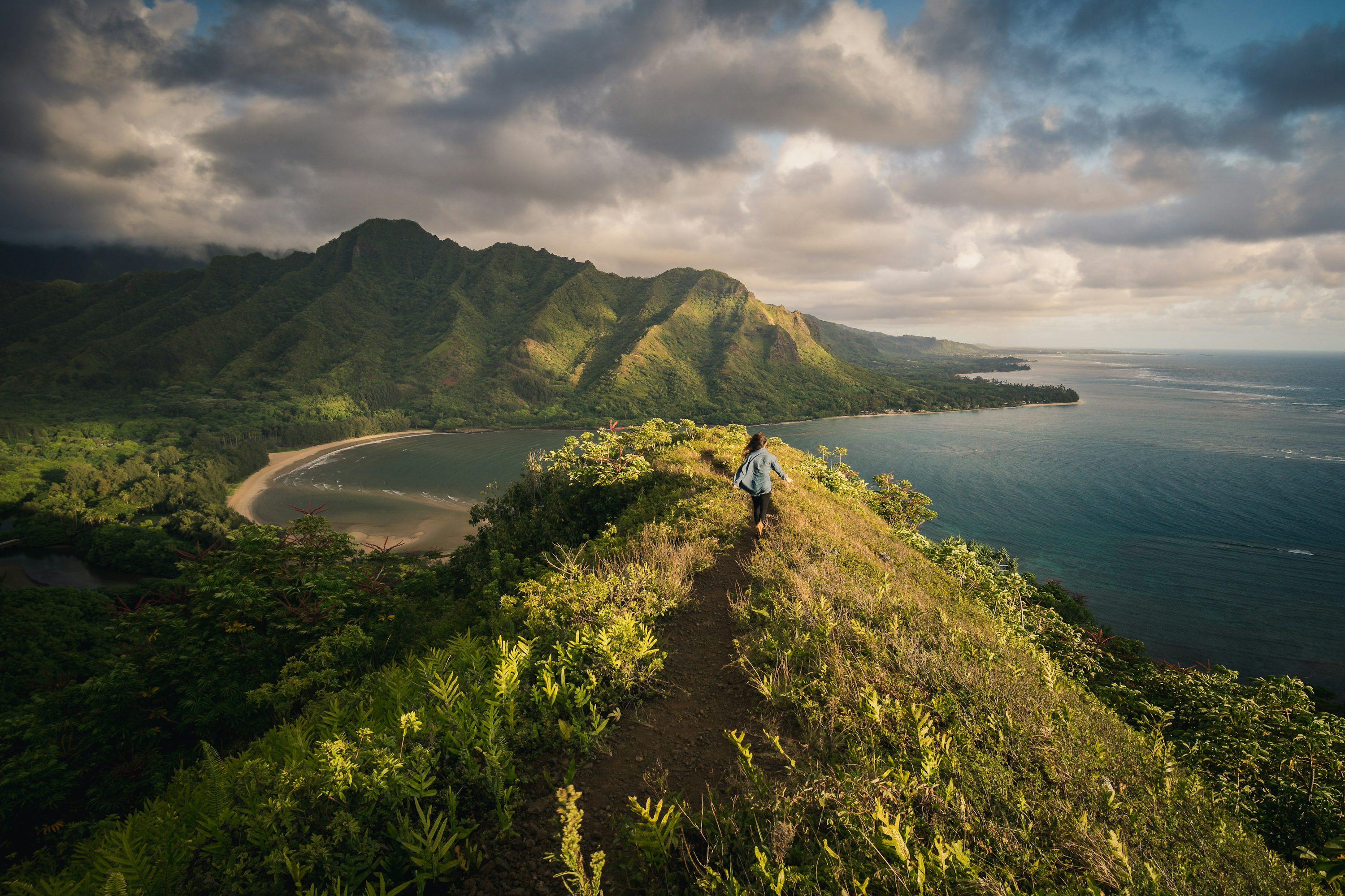 Flights to Hawaii